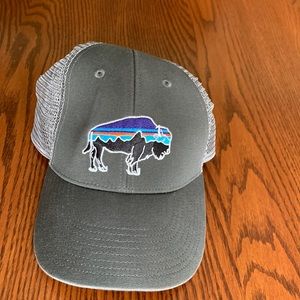 Patagonia Trucker hat
